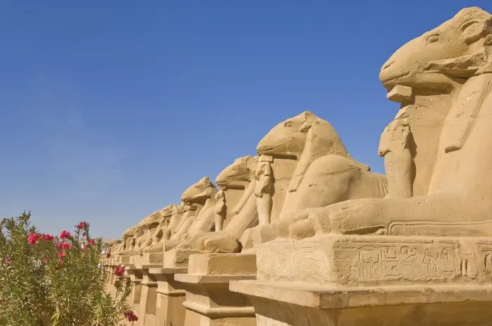 Framed Print : Row of Sphinx with ram heads at the great Temple at Karnak near Luxor, Thebes