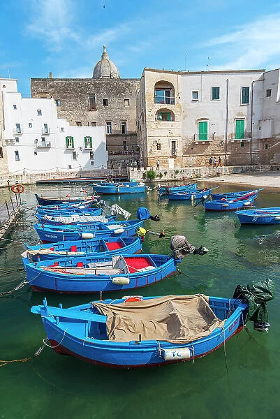 Rows of blue wooden boats in the water of the harbour of Monopoli old town, Monopoli, Bari province, Apulia, Italy, Europe