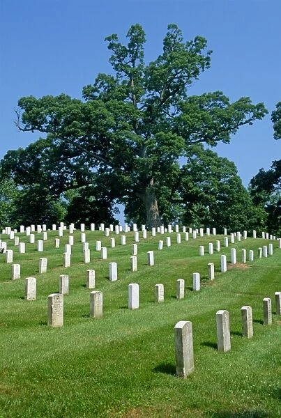 Rows of headstones on graves in the Arlington Cemetery