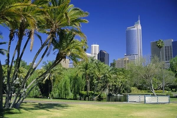 Royal Botanic Gardens and city skyline, Sydney, New South Wales, Australia, Pacific