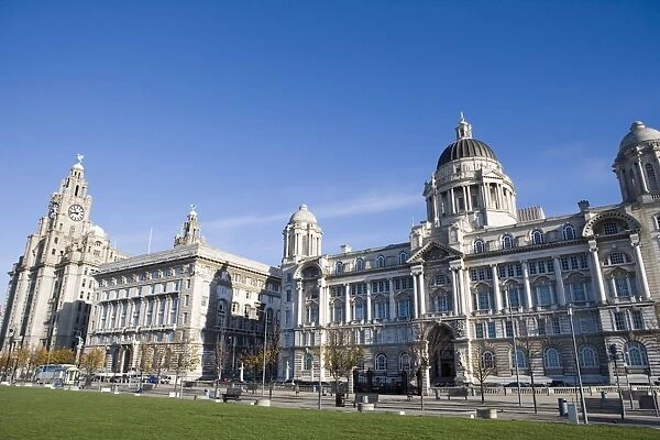 Royal Liver Building, Cunard Building, Mersey Docks and Harbour Board, the Three Graces