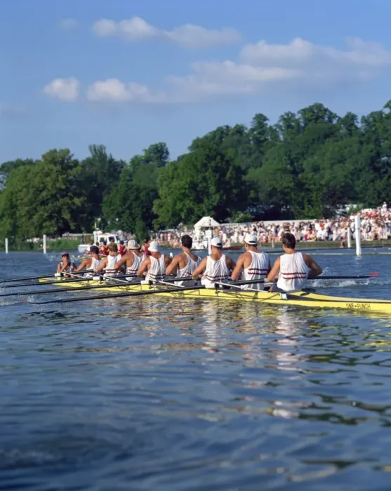 Framed Print : Royal Regatta, Henley on Thames, Oxfordshire, England, United Kingdom, Europe Framed Print : Royal Regatta, Henley on Thames, Oxfordshire, England, United Kingdom, Europe