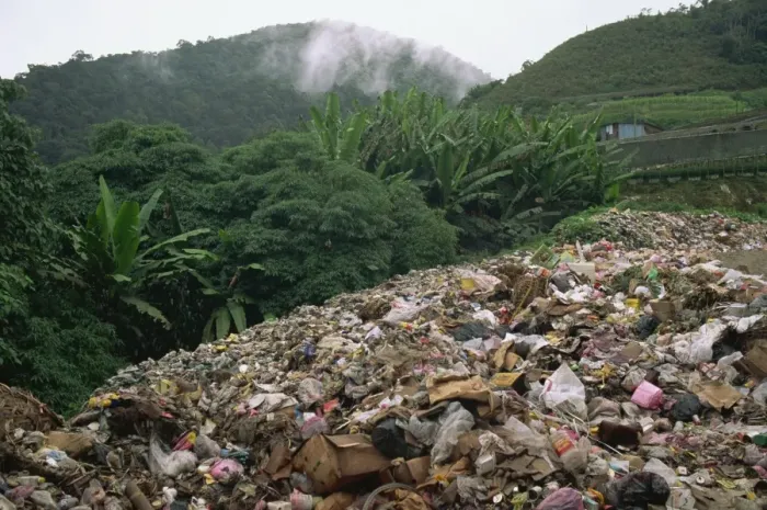 Framed Print : Rubbish dump in jungle, Malaysia, Southeast Asia, Asia Framed Print : Rubbish dump in jungle, Malaysia, Southeast Asia, Asia