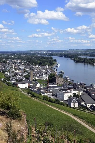 Rudesheim, Rhine Valley, Hesse, Germany, Europe