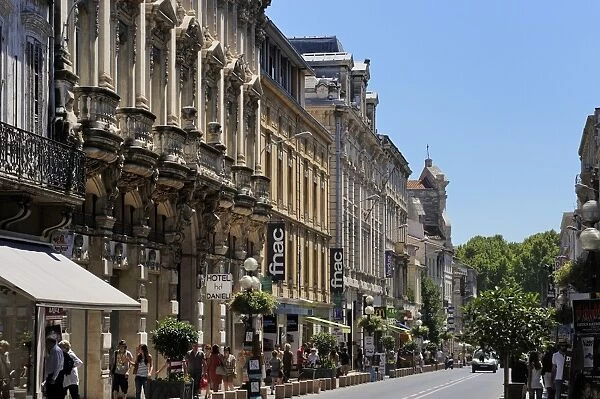 Rue de la Republique, Avignon, Provence, France, Europe