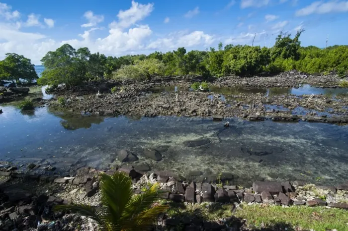 Framed Print : Ruined city of Nan Madol, Pohnpei (Ponape), Federated States of Micronesia, Caroline Islands, Central Pacific, Pacific Framed Print : Ruined city of Nan Madol, Pohnpei (Ponape), Federated States of Micronesia, Caroline Islands, Central Pacific, Pacific
