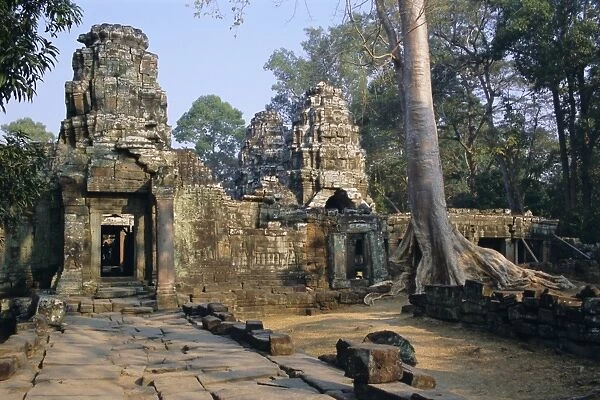 Ruins at archaeological site, Ta Prohm temple, Angkor, UNESCO World Heritage Site