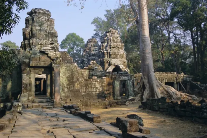 Framed Print : Ruins at archaeological site, Ta Prohm temple, Angkor, UNESCO World Heritage Site Framed Print : Ruins at archaeological site, Ta Prohm temple, Angkor, UNESCO World Heritage Site