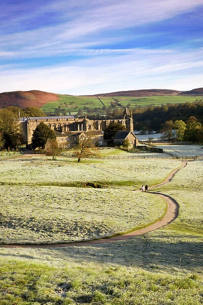 Ruins of Bolton Priory (Bolton Abbey) on a frosty morning, Yorkshire Dales National Park