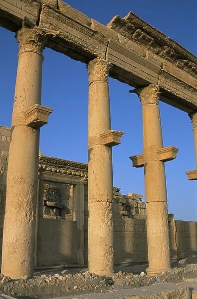 Ruins of the colonnade