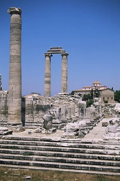 Ruins of Didyma