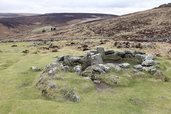 Ruins of a middle Bronze Age house, 3500 years old, at Grimspound, Dartmoor