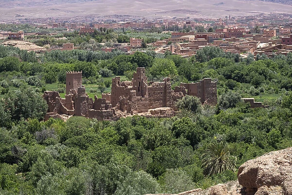 Ruins of an old palace in the middle of a palm oasis, Morocco, North Africa, Africa