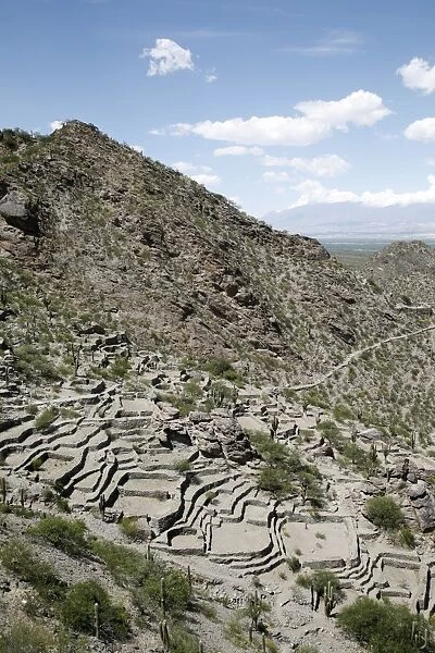 Ruins of Quilmes, Salta Province, Argentina, South America