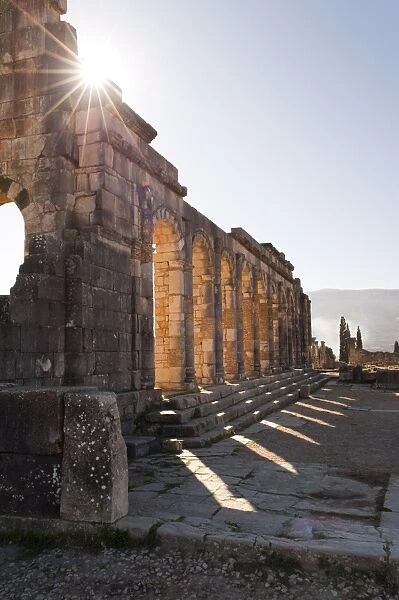 The ruins of the Roman city of Volubilis, Morocco, North Africa, Africa