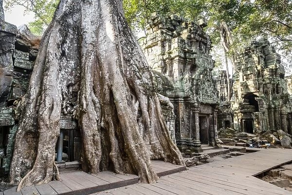 Ruins of the Ta Prohm Temple, Angkor, UNESCO World Heritage Site, Cambodia, Indochina, Southeast Asia, Asia