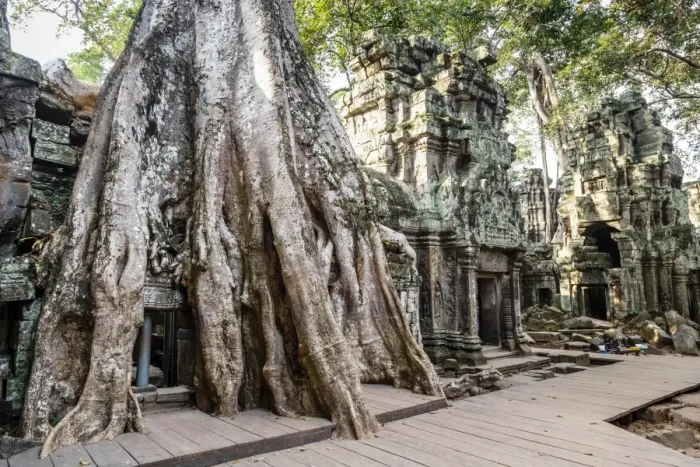 Framed Print : Ruins of the Ta Prohm Temple, Angkor, UNESCO World Heritage Site, Cambodia, Indochina, Southeast Asia, Asia Framed Print : Ruins of the Ta Prohm Temple, Angkor, UNESCO World Heritage Site, Cambodia, Indochina, Southeast Asia, Asia