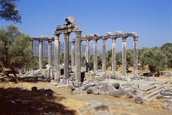 Ruins of the Temple of Zeus