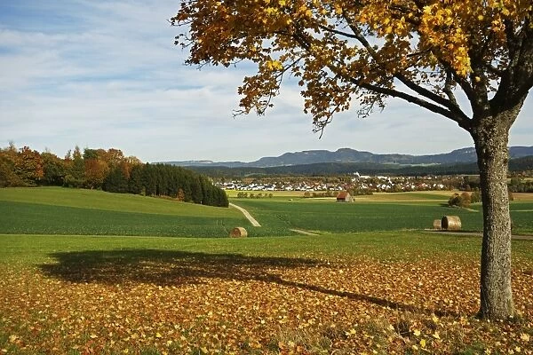 Rural autumn scene with Lauffen village, near Villingen-Schwenningen, Black Forest, Schwarzwald-Baar, Baden-Wurttemberg, Germany, Europe