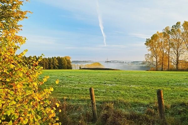 Rural autumn scene, near Villingen-Schwenningen, Baden-Wurttemberg, Germany, Europe