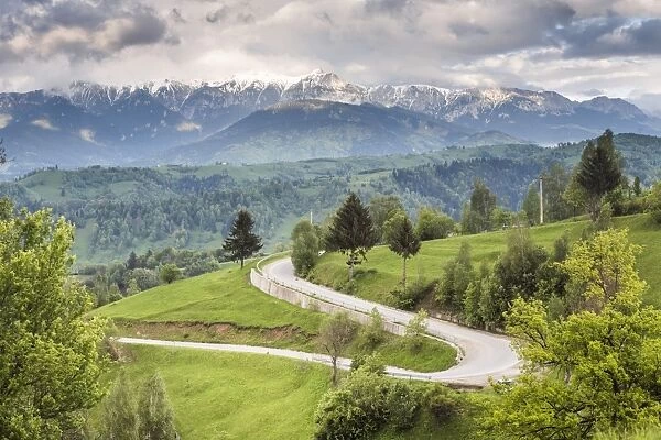 Rural countryside and Carpathian Mountains near Bran Castle at Pestera, Transylvania