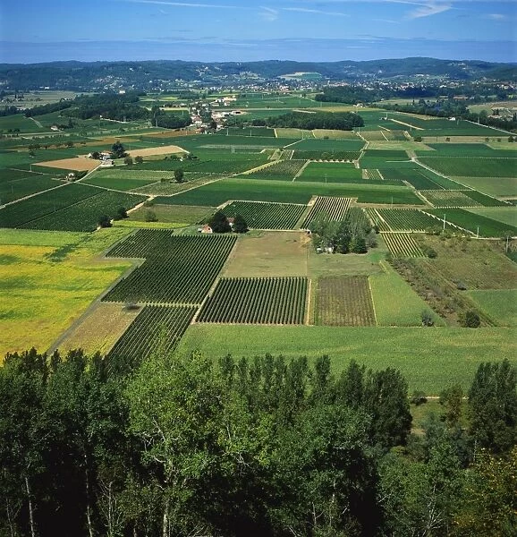 Rural Landscape, Dordogne, Aquitaine, France