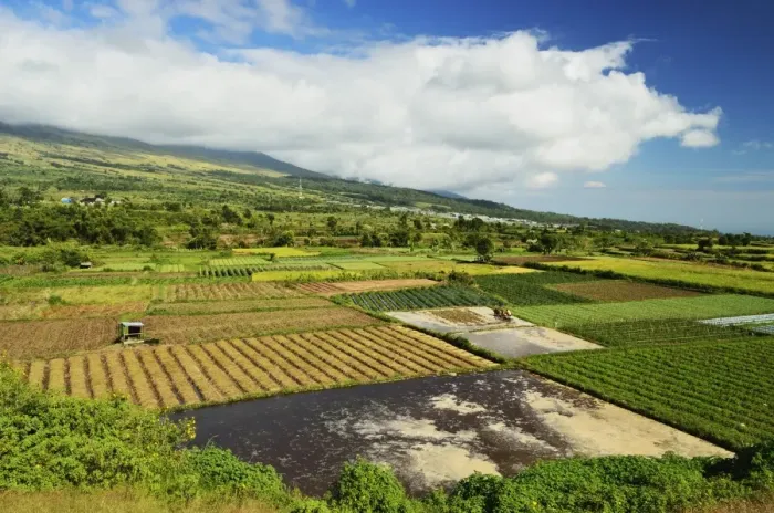 Framed Print : Rural landscape, near Sembalun Lawang, Lombok, Indonesia, Southeast Asia, Asia Framed Print : Rural landscape, near Sembalun Lawang, Lombok, Indonesia, Southeast Asia, Asia