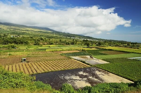 Rural landscape, near Sembalun Lawang, Lombok, Indonesia, Southeast Asia, Asia