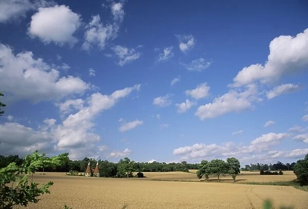 Rural landscape with oasthouses, Ightham near Sevenoaks, Kent, England, UK