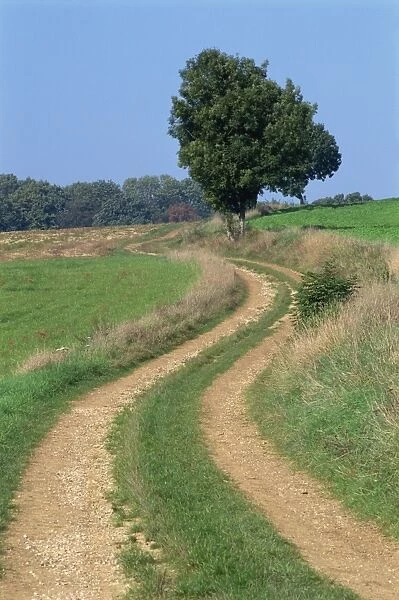 Empty rural road or farm track in agricultural land, Picardie (Picardy), France, Europe