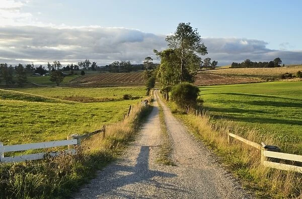 Rural road near Deloraine, Tasmania, Australia, Pacific