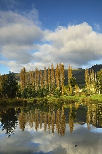 Rural scene, Maydena, Tasmania, Australia, Pacific