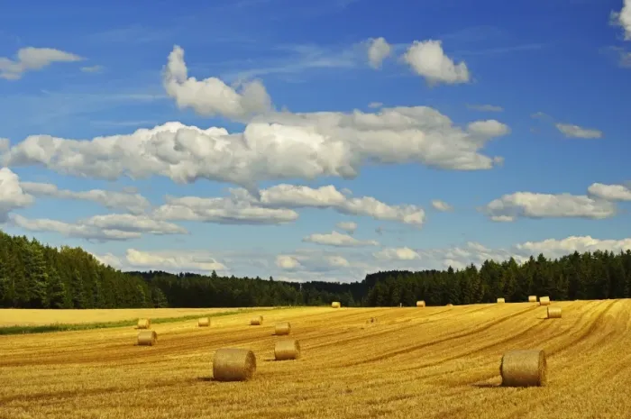 Framed Print : Rural scene, near Villingen-Schwenningen, Black Forest, Schwarzwald-Baar, Baden-Wurttemberg, Germany, Europe Framed Print : Rural scene, near Villingen-Schwenningen, Black Forest, Schwarzwald-Baar, Baden-Wurttemberg, Germany, Europe