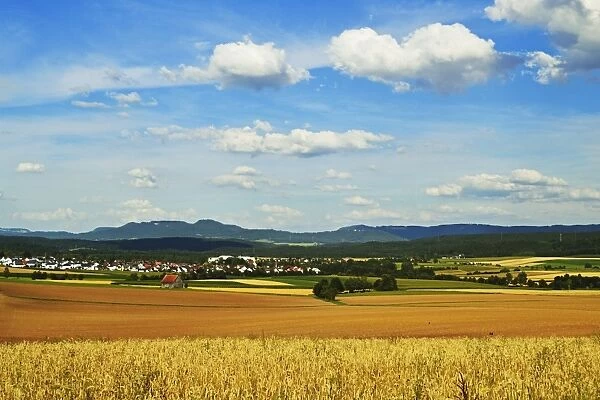 Rural scene, village of Lauffen, near Rottweil, Black Forest, Schwarzwald-Baar, Baden-Wurttemberg, Germany, Europe