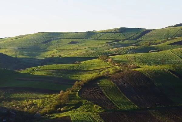 Rural scenery, Tavush province, Armenia, Caucasus, Central Asia, Asia