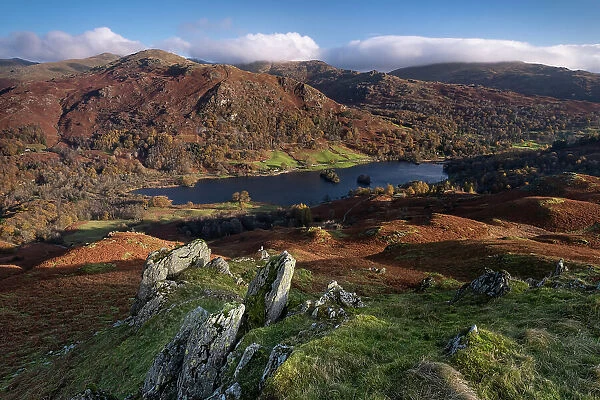 Rydal Water backed by Nab Scar and Heron Pike from Loughrigg Fell in autumn, Lake District National Park, UNESCO World Heritage Site, Cumbria, England, United Kingdom, Europe
