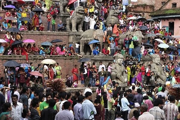 Sa-Paru Gaijatra Festival, Taumadhi Square, Bhaktapur, UNESCO World Heritage Site