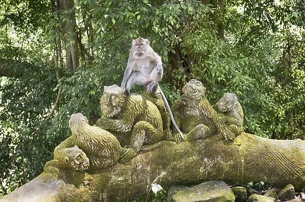 Sacred Monkey Forest, Ubud, Bali, Indonesia, Southeast Asia, Asia