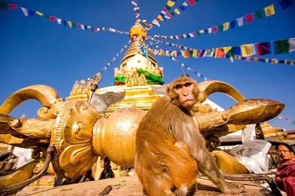 Sacred Monkey Temple (Swayambhunath Temple), UNESCO World Heritage Site, Kathmandu