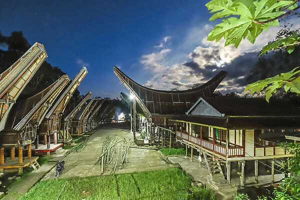 Saddleback roof tongkonans (family rice barns amd houses) near the North Toraja capital, Rantepao, Toraja, South Sulawesi, Indonesia, Southeast Asia, Asia