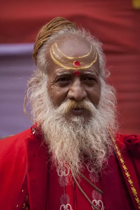 Framed Print : Sadhu at the Kumbh Mela in February 2010, Haridwar, Uttar Pradesh, India, Asia Framed Print : Sadhu at the Kumbh Mela in February 2010, Haridwar, Uttar Pradesh, India, Asia