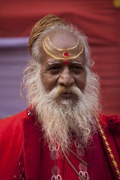 Sadhu at the Kumbh Mela in February 2010, Haridwar, Uttar Pradesh, India, Asia