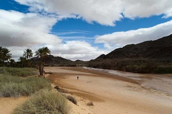 Saf Saf River, the border with Algeria, oasis of Figuig, province of Figuig