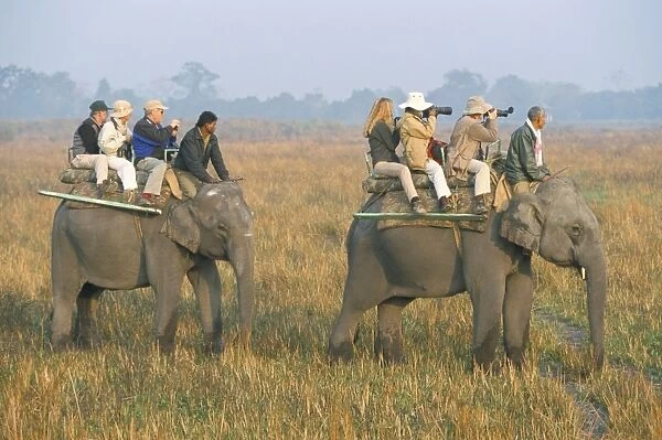 Safari on elephant back