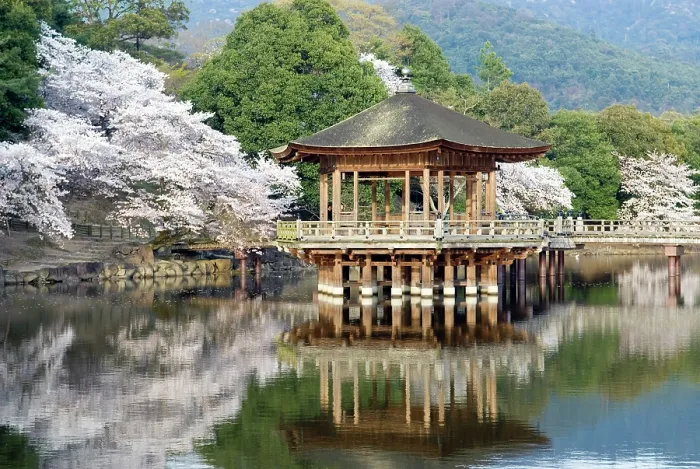 Framed Print : Sagi-ike Pond and Ukimido Pavilion, Cherry Blossoms, Nara, Japan