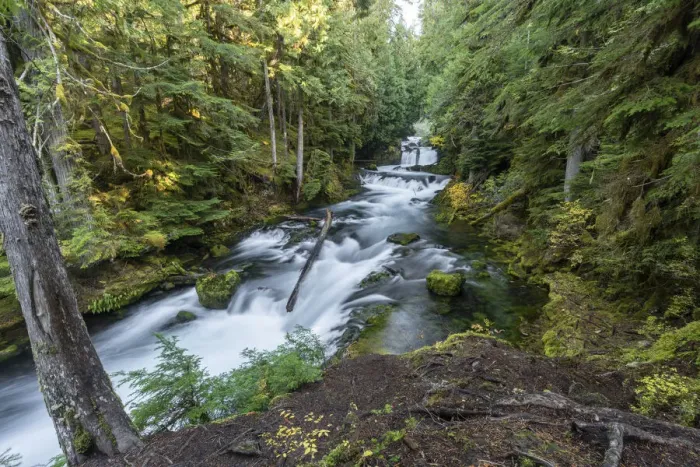 Framed Print : Sahalie Falls in autumn, McKenzie Bridge, Lane county, Oregon, United States of America Framed Print : Sahalie Falls in autumn, McKenzie Bridge, Lane county, Oregon, United States of America