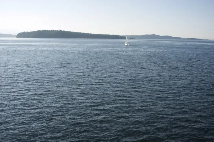 Framed Print : Sailboat on the Puget Sound passes Blake Island, Washington State, United States of America Framed Print : Sailboat on the Puget Sound passes Blake Island, Washington State, United States of America