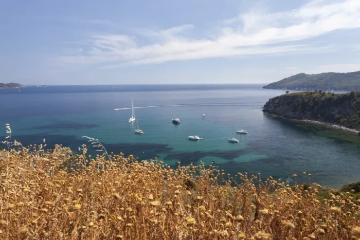 Framed Print : Sailboats in the turquoise sea, Sant Andrea Beach, Marciana, Elba Island, Livorno Province