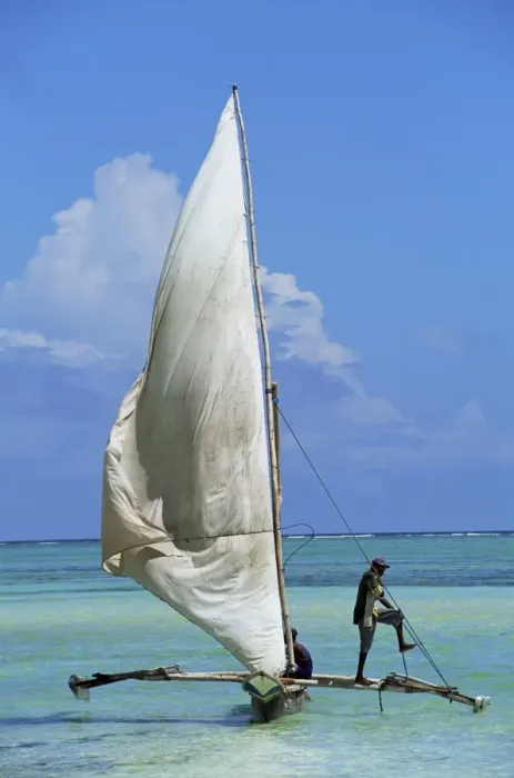 Framed Print : Sailing boat, Kiwengwa beach, Zanzibar, Tanzania, East Africa, Africa Framed Print : Sailing boat, Kiwengwa beach, Zanzibar, Tanzania, East Africa, Africa