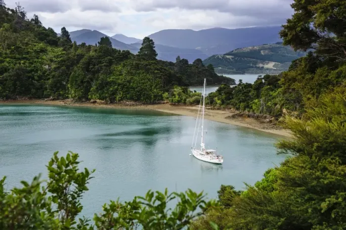 Framed Print : Sailing boat in the Marlborough Sounds, South Island, New Zealand, Pacific Framed Print : Sailing boat in the Marlborough Sounds, South Island, New Zealand, Pacific
